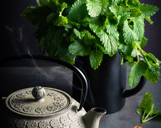 Feuilles de mélisse fraîches dans un arrosoir noir, à côté d’une théière fumante de tisane apaisante – plante médicinale relaxante et digestive