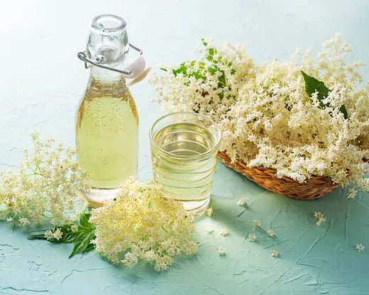 Sirop maison de fleurs de sureau noir dans une bouteille en verre
