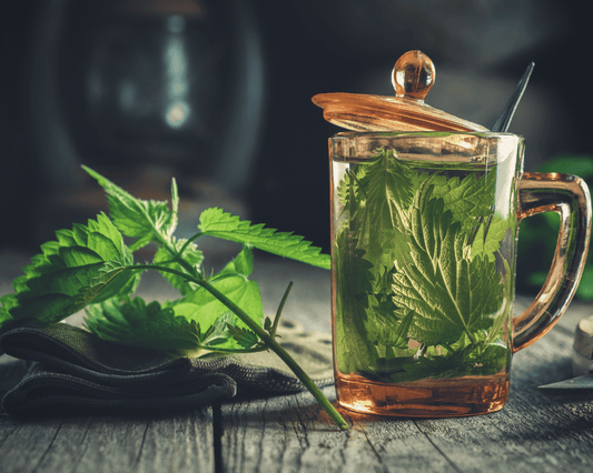 Tasse de tisane d’ortie fumante, entourée de feuilles d’ortie fraîches, idéale pour une infusion détox et revitalisante.