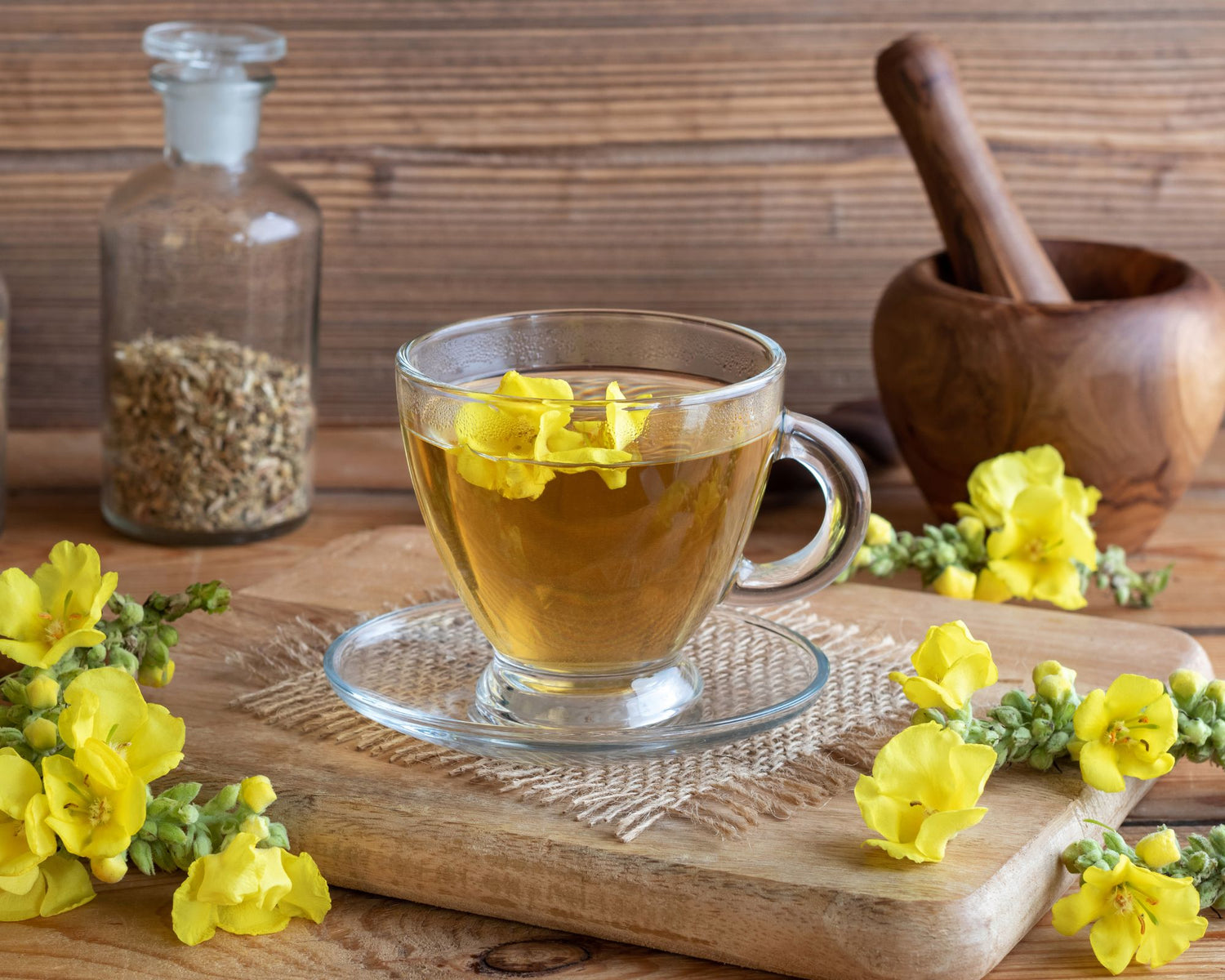 Tasse de tisane de bouillon-blanc (molène) sur une planche en bois, avec fleurs fraîches sur tige, mortier et plantes séchées en arrière-plan