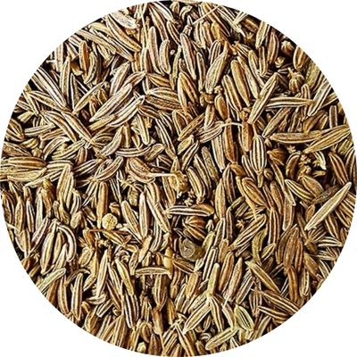 fruits de cumin, plante médicinale et épice en vrac