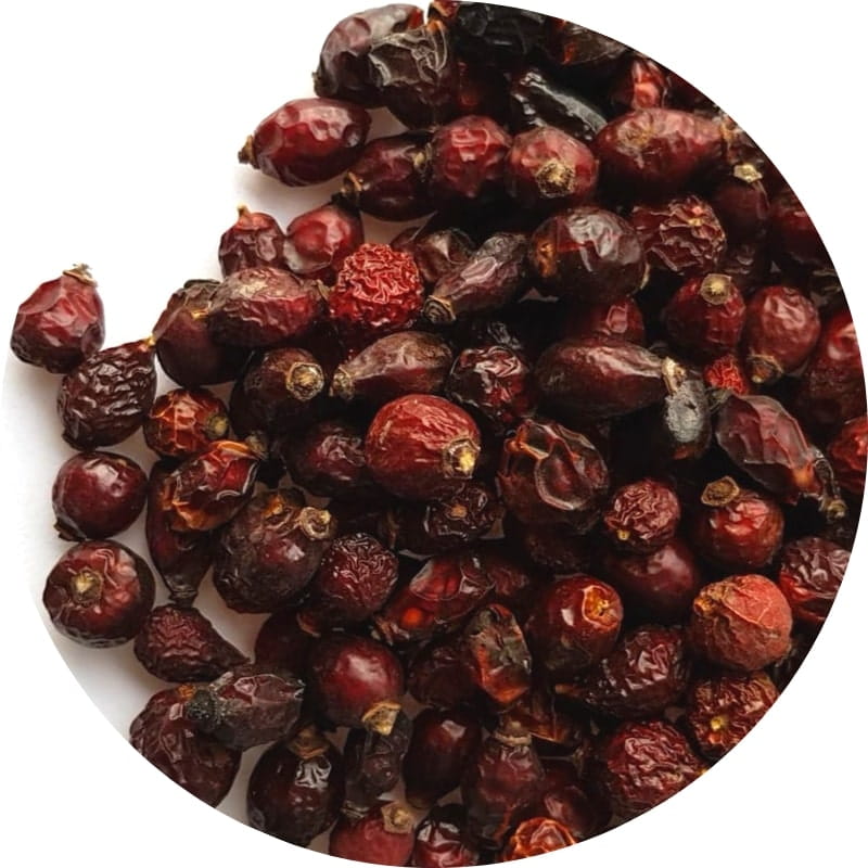 Gros plan de fruits d'églantier séchés en vrac, baies sauvages naturellement riches en vitamine C, utilisées en tisane pour soutenir la synthèse du collagène et protéger les cartilages