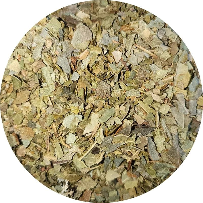 feuilles d'eucalyptus, plante médicinale en vrac