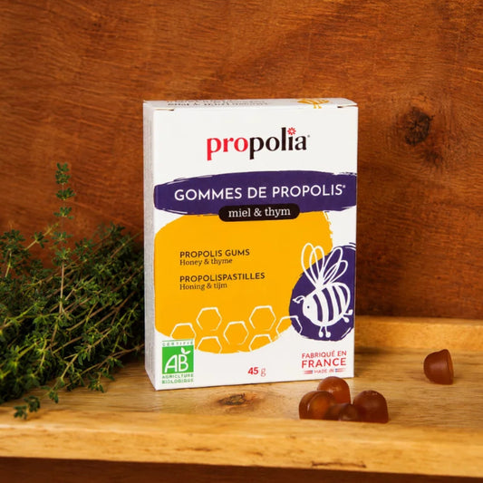 Gommes de Propolis au Miel et Thym bio 45 g de Propolia posées sur bois avec pastilles de propolis et branche de thym, tisane et gorge, made in France