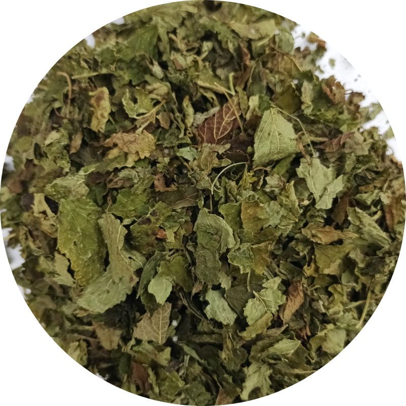 Mélisse (feuilles)