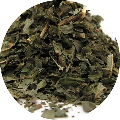 feuilles de myrtilles, plante médicinale en vrap