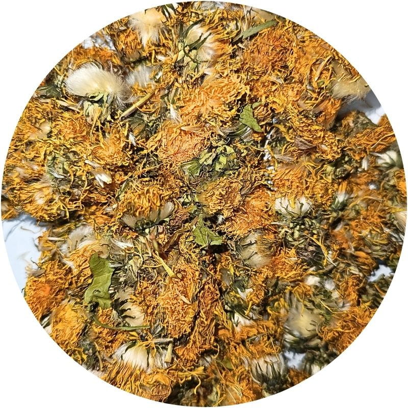 fleurs de pissenlit, plante médicinale en vrac