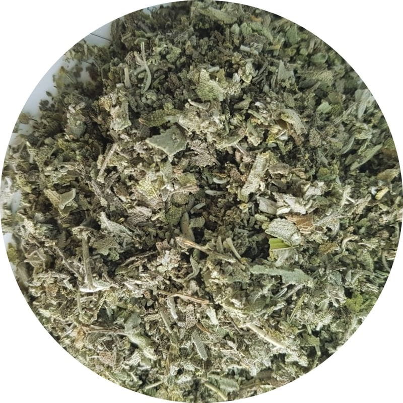 herbes de sauge officinale, plante médicinale en vrac
