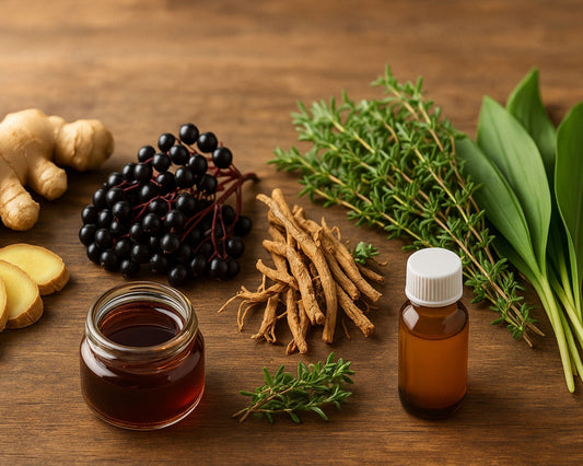 Assortiment de plantes médicinales pour soutenir l’immunité : gingembre, baies de sureau noir, éleuthérocoque, thym et ail des ours, sur une table en bois rustique avec une lumière douce d’automne.