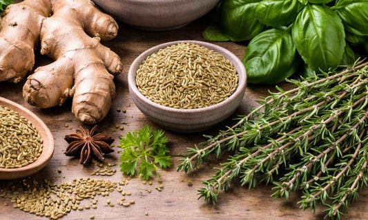 Trois mélanges de plantes digestives : fenouil, anis vert et menthe ; gingembre, romarin et pissenlit ; camomille, mélisse et verveine.