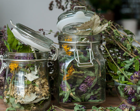Bocaux en verre contenant des plantes médicinales fraîches, entourés de végétation printanière.