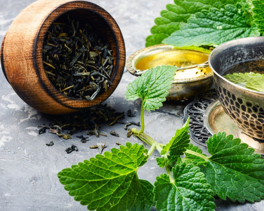 Brins de menthe poivrée fraîche sur ardoise noire, bol en bois contenant du thé vert et de la menthe séchée, infuseur et tasse de tisane fumante à la menthe poivrée