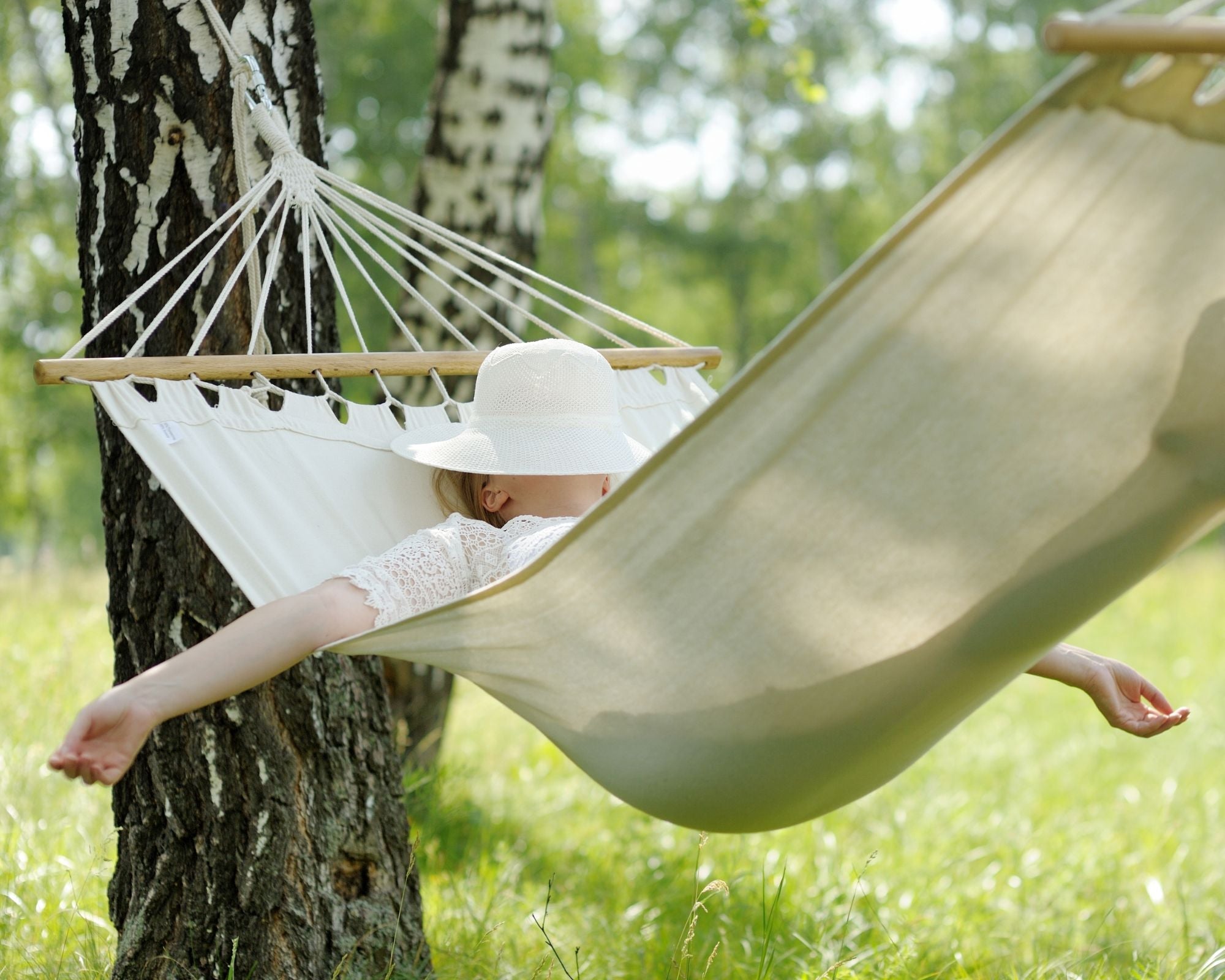 Plants for Sleep and Relaxation – Natural Relaxation and Rest ...