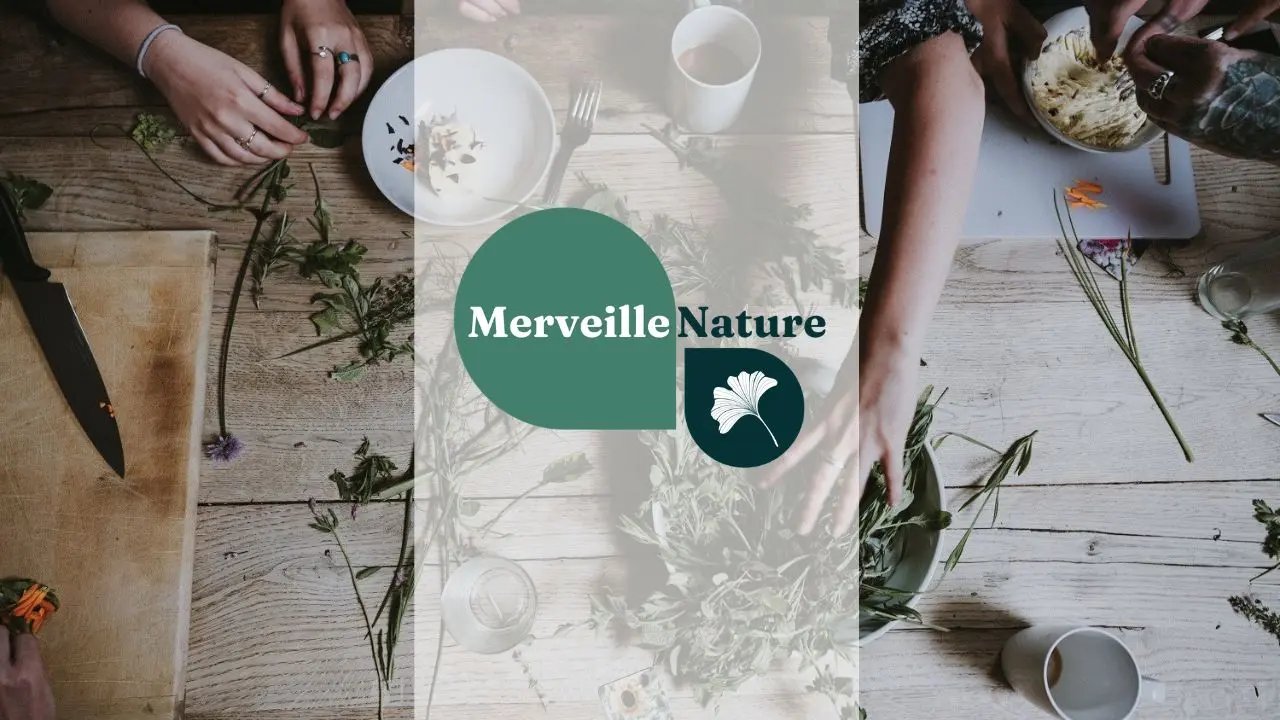Charger la vidéo : Vidéo de présentation de MerveilleNature, une boutique dédiée aux plantes médicinales, aux infusions naturelles et aux savoir-faire botaniques. La vidéo présente l’importance des plantes dans les traditions de bien-être, la mission de MerveilleNature et sa sélection de produits naturels : plantes en vrac, tisanes fonctionnelles, sirops, jus et coffrets bien-être. Des images de plantes, de préparations artisanales et de nature accompagnent une voix expliquant comment les plantes peuvent enrichir les rituels du quotidien et inviter à prendre soin de soi naturellement.