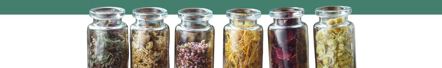 Petits bocaux en verre contenant différentes plantes médicinales