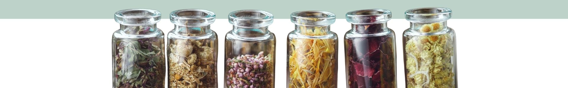 Petits bocaux en verre contenant différentes plantes médicinales