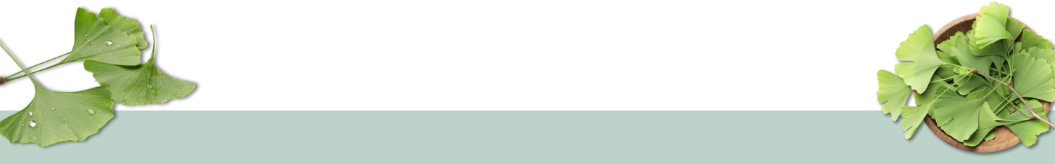 Feuilles de ginkgo biloba fraîches et dans un bol en bois, plante médicinale