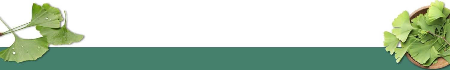 Feuilles de ginkgo biloba symbolisant le bien-être naturel et les plantes médicinales