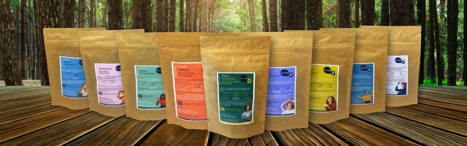 Tisanes bien-être disposées sur une table en bois, avec en arrière-plan une forêt verdoyante évoquant la sérénité et la nature.