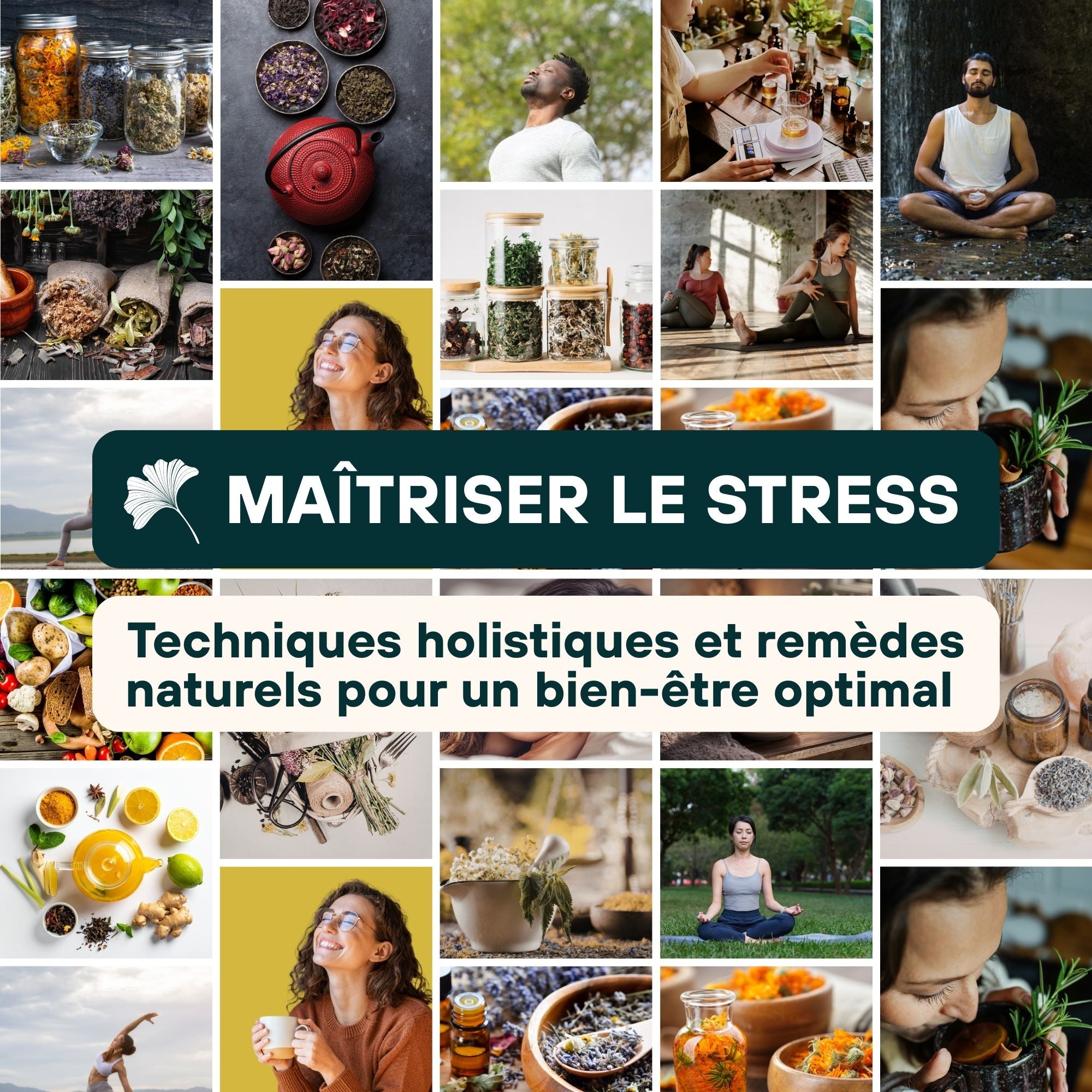 Vidéo promotionnelle de la formation en ligne "Maîtriser le stress – techniques holistiques et remèdes naturels pour un bien-être optimal". La vidéo montre des images apaisantes de routines de bien-être, de plantes médicinales et de moments de relaxation. Elle présente le programme en cinq modules : comprendre le stress, renforcer la résilience, découvrir les plantes calmantes et adaptogènes, créer ses propres remèdes naturels, et établir un plan d’action personnalisé pour un équilibre quotidien. 