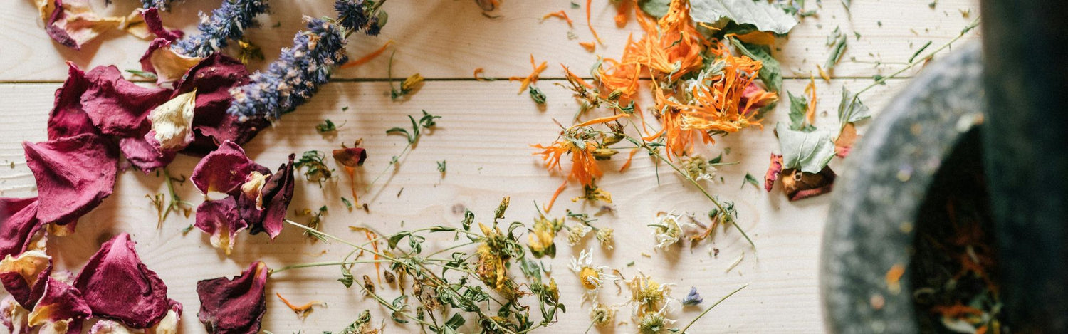 Planche en bois avec des plantes médicinales séchées et un mortier pour préparer des remèdes naturels