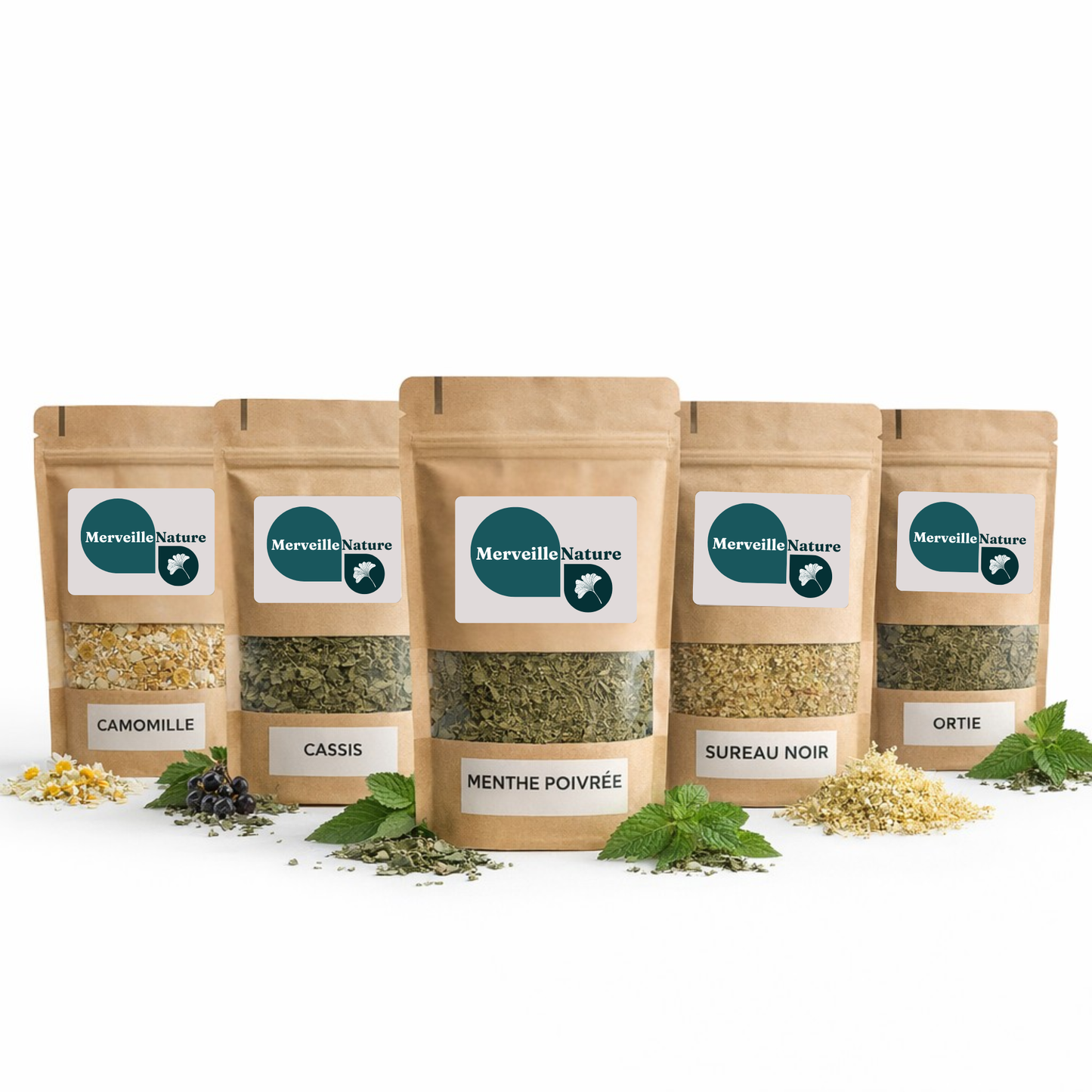 Cinq sachets de plantes alignés sur fond blanc pour préparer une tisane anti-rhume des foins, avec camomille, cassis, menthe poivrée, sureau noir et ortie, accompagnés de quelques plantes séchées.