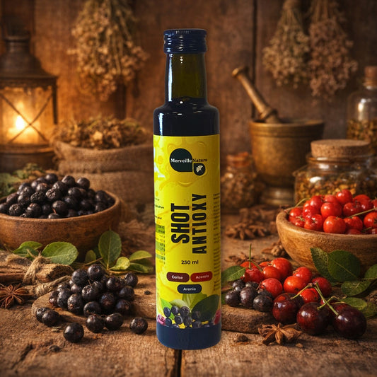 Shot Antioxy MerveilleNature dans une ambiance herboristerie, avec fruits riches en antioxydants comme aronia, cerise et acerola, décor naturel.