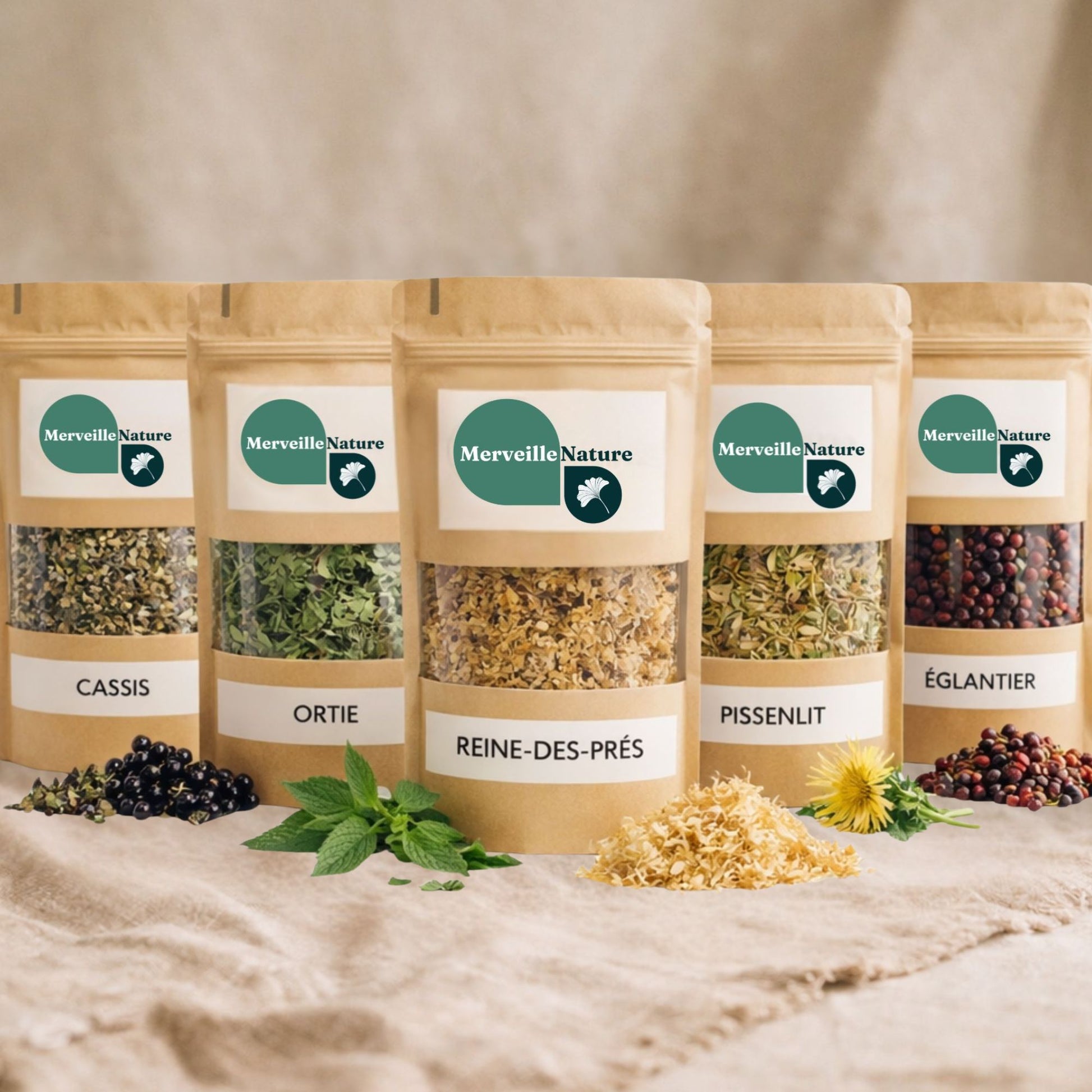 5 sachets de plantes pour un mélange fonctionnel - confort articulaire