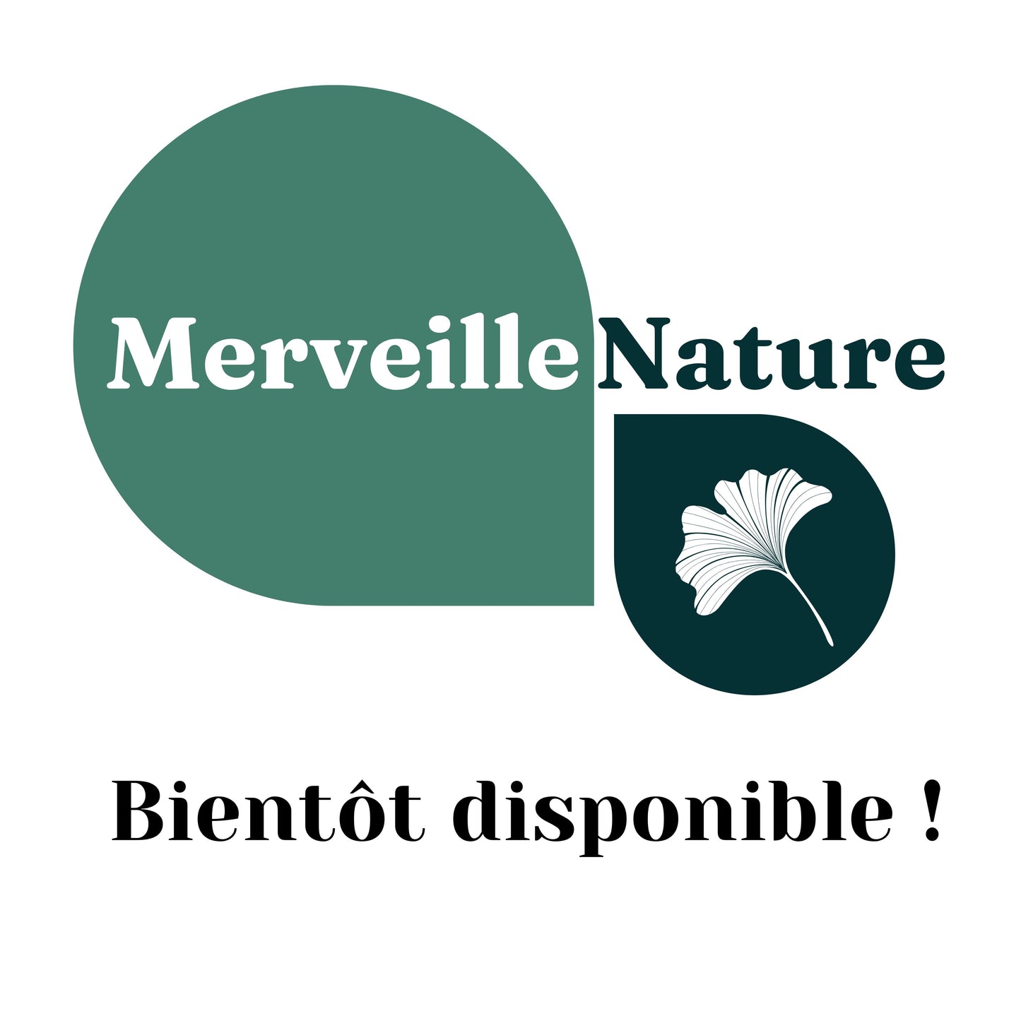 Logo de MerveilleNature représentant deux feuilles, dont une feuille de ginkgo biloba. Le texte 'Bientôt disponible !' est également visible.