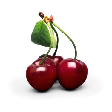 cerises