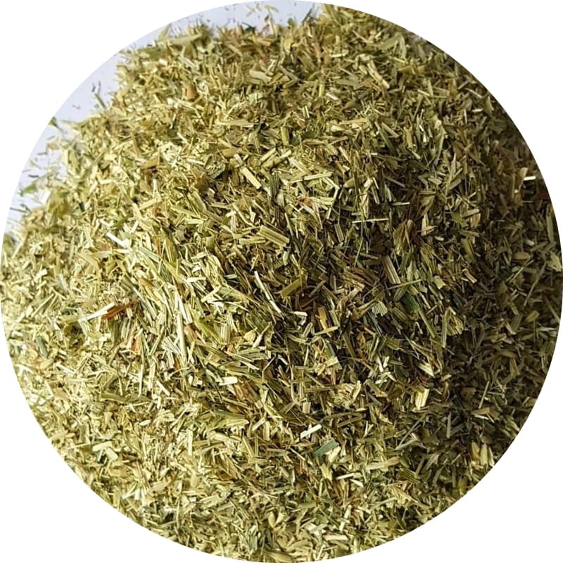 Gros plan de feuilles de pissenlit séchées en vrac, plante médicinale aux puissantes propriétés drainantes, utilisée en tisane pour éliminer l'acide urique et soulager les douleurs articulaires