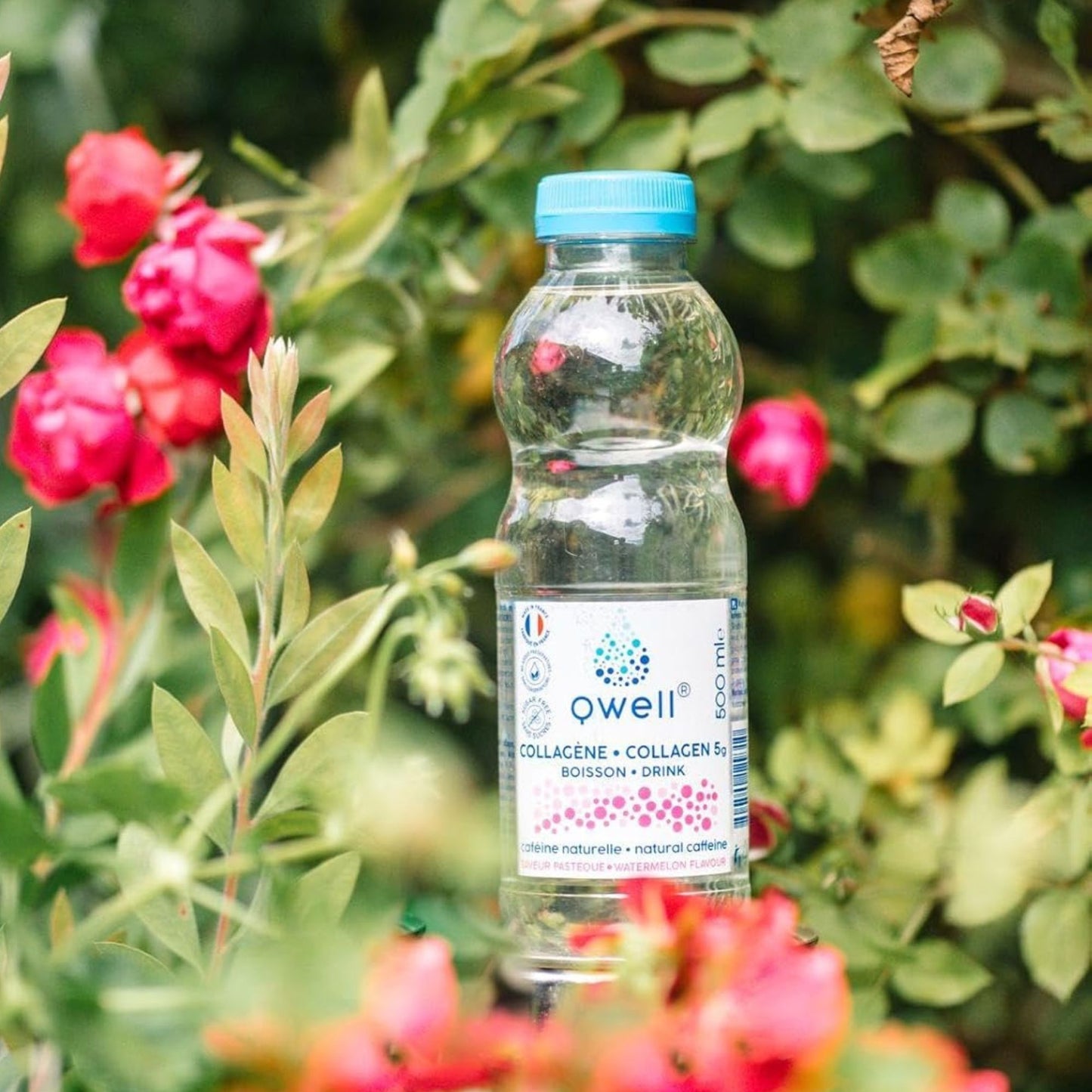 Bouteille Qwell collagène saveur pastèque enrichie en caféine naturelle, entourée de fleurs rouges et de feuillage vert, évoquant fraîcheur et énergie naturelle