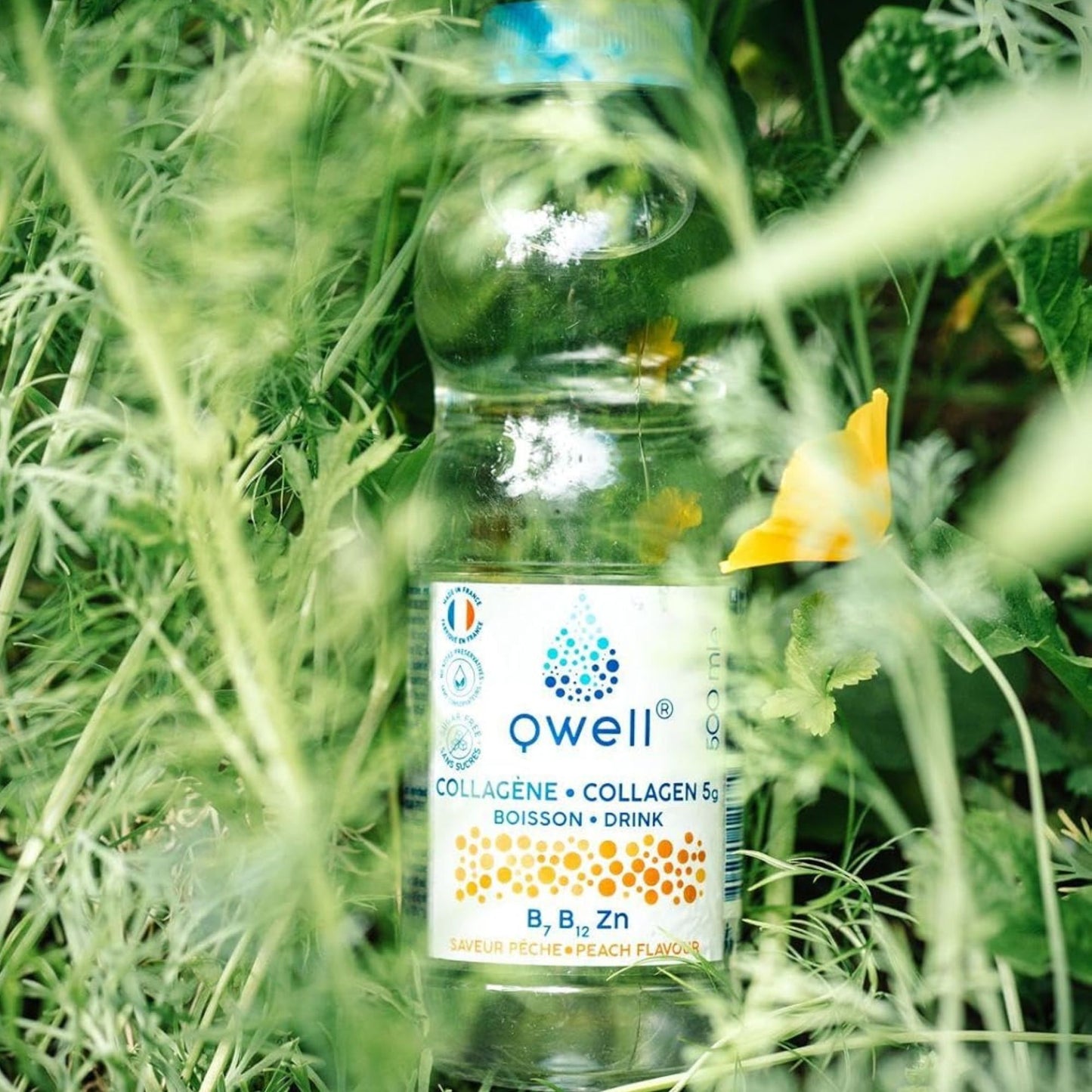 Bouteille Qwell collagène saveur pêche avec vitamines B7 B12 et zinc, posée dans une prairie verdoyante avec une fleur jaune, évoquant naturalité et bien-être au quotidien