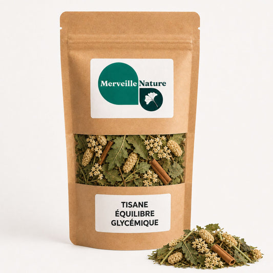 Sachet de tisane Équilibre Glycémique MerveilleNature sur fond blanc, infusion naturelle aux feuilles de mûrier blanc, feuilles de myrtille, ortie, pissenlit, aubépine et cannelle de Ceylan.